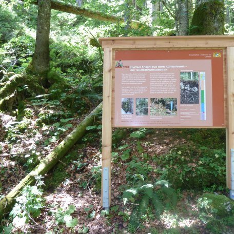 Bodenerlebnispfad Schwarzenbachtal, © Landesamt für Umwelt