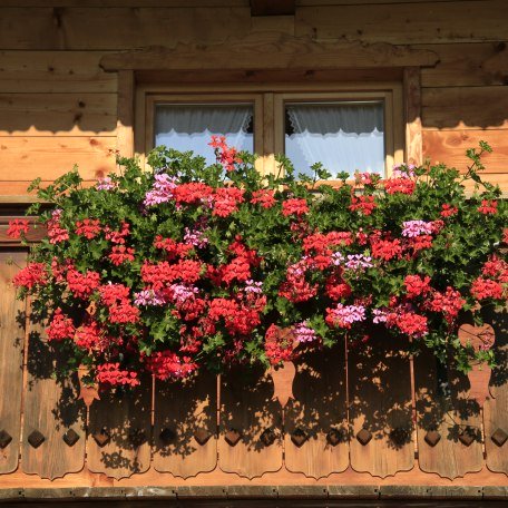 Old Bad Wiessee Flowers, © Egbert Krupp