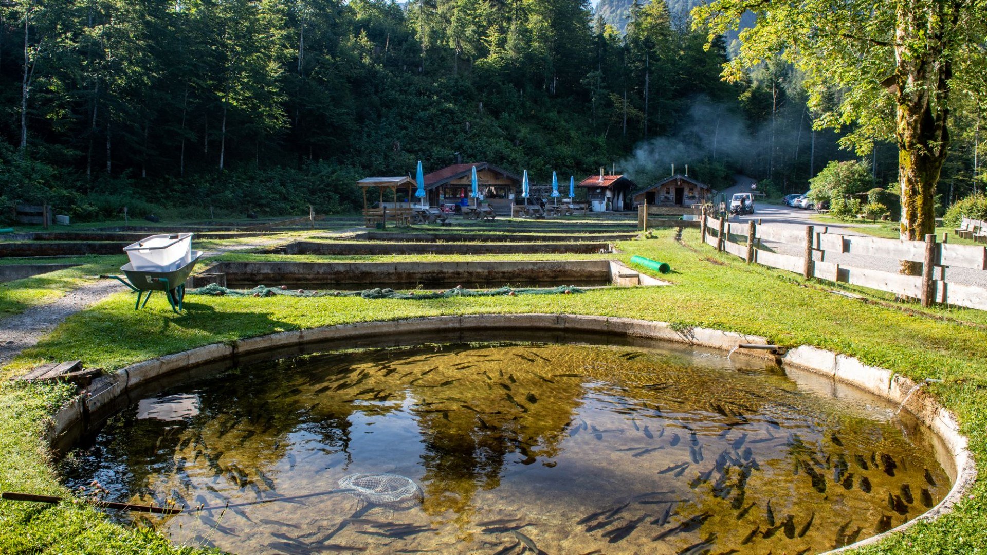 Spaziergang Fischzucht, © Der Tegernsee (Thomas Plettenberg) Spaziergang Fischzucht, © Der Tegernsee (Thomas Plettenberg)