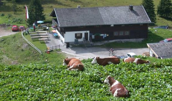 Berggasthof Ackernalm Berggasthof Ackernalm