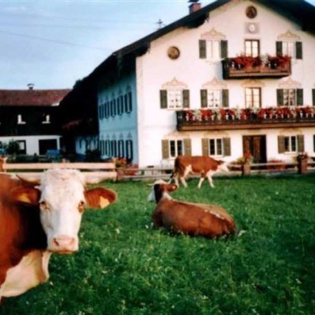 https://d1pgrp37iul3tg.cloudfront.net/objekt_pics/obj_full_31757_004.jpg, © im-web.de/ Tourist-Information Gmund am Tegernsee
