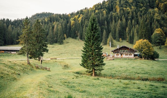 TTT_0823_JR_Herbstmomente_Kreuth-0009, © Julian Rohn