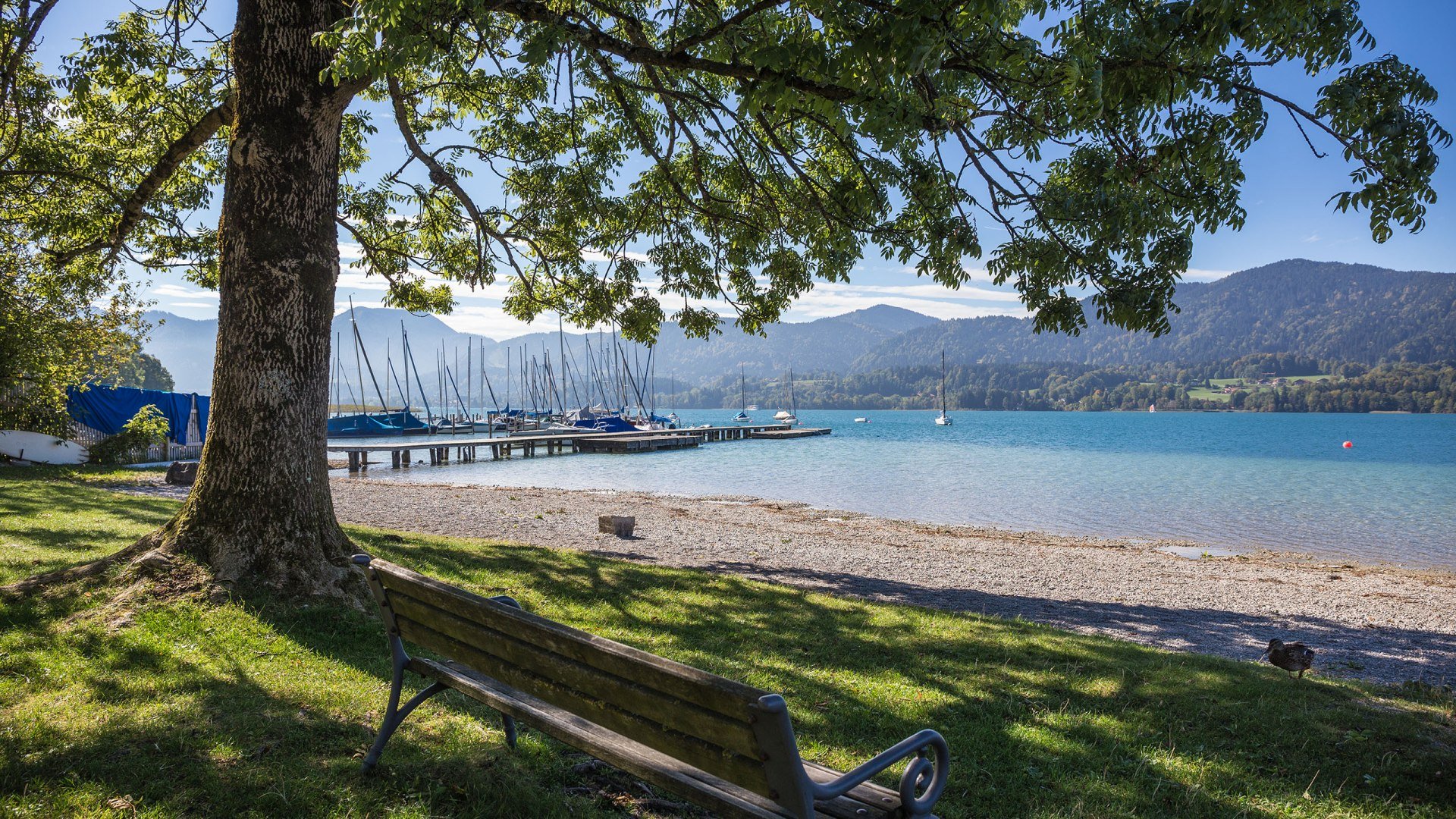 ttt_schempershofe_seeglas33, © Der Tegernsee ttt_schempershofe_seeglas33, © Der Tegernsee