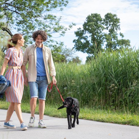 Urlaub mit Hund, © im-web.de/ Tourist-Information Bad Wiessee