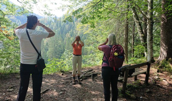 Augenwandern, © Sabine Nagl Augenwandern, © Sabine Nagl