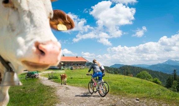 Alpbach über Gindel Alm  (Tour Nr. 38 aus dem "RadlTraum Süd"), © Alpenregion Tegernsee Schliersee