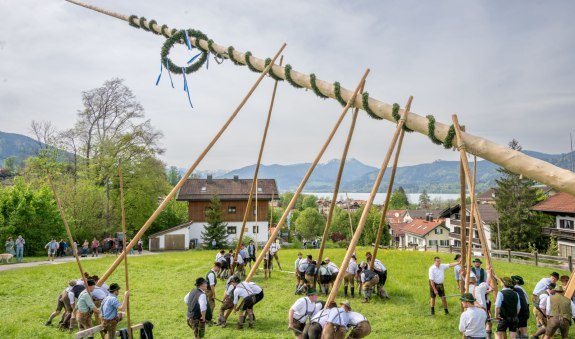 Maibaum Aufstellen, © Der Tegernsee (Thomas Plettenberg)