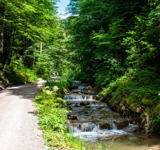 Alpbachtal, © Der Tegernsee (Sabine Ziegler-Musiol)