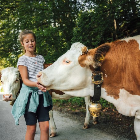 Naturschauspiel_Kreuth_11_5, © Julian Rohn Naturschauspiel_Kreuth_11_5, © Julian Rohn