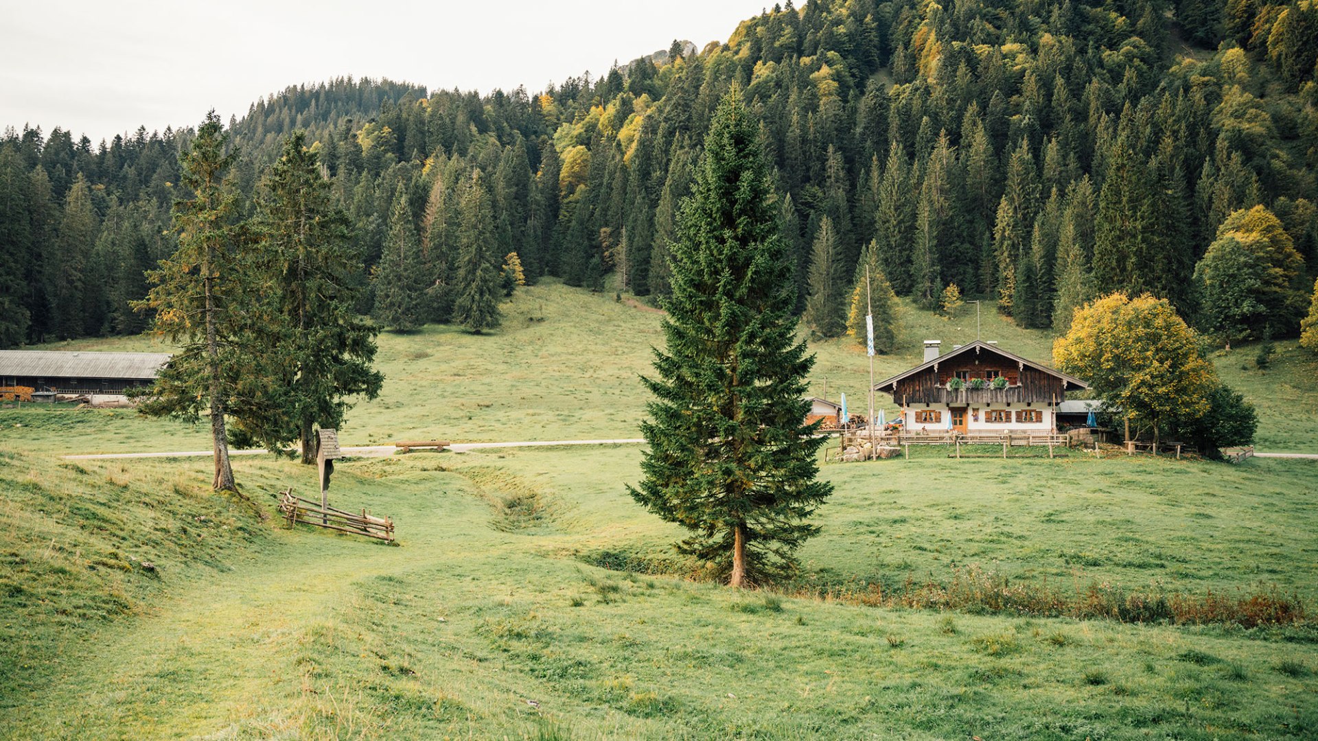 TTT_0823_JR_Herbstmomente_Kreuth-0009, © Julian Rohn