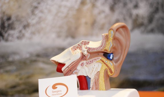 mg_0631, &copy; Seegers H&ouml;rerlebnis