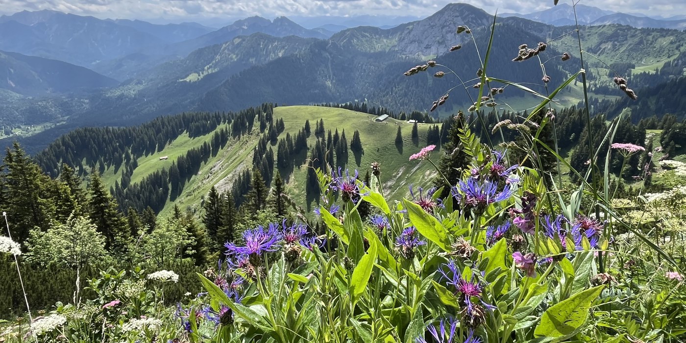 Kräutererlebnis-Wallbergbahn, © Julia Keck Kräutererlebnis-Wallbergbahn, © Julia Keck