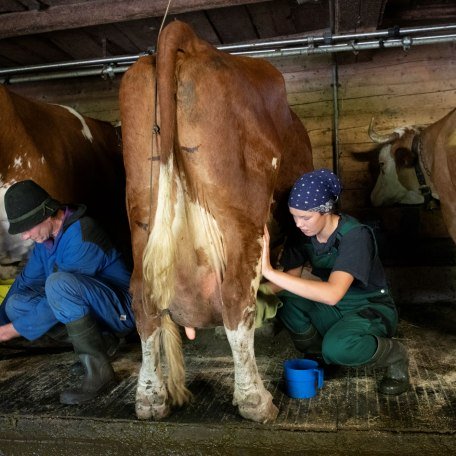 Anton Maier 05, &copy; Cordula Flegel