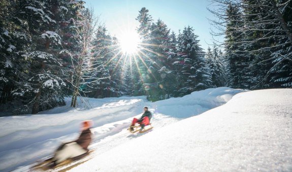 Rodelbahn Setzberg, &copy; Alpenregion Tegernsee Schliersee