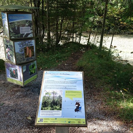 Naturschauspiele Kreuth Station 1_6, &copy; Der Tegernsee