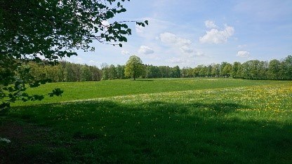 Mit Schwung &uuml;ber die Berge, &copy; BR Willy Kravanja