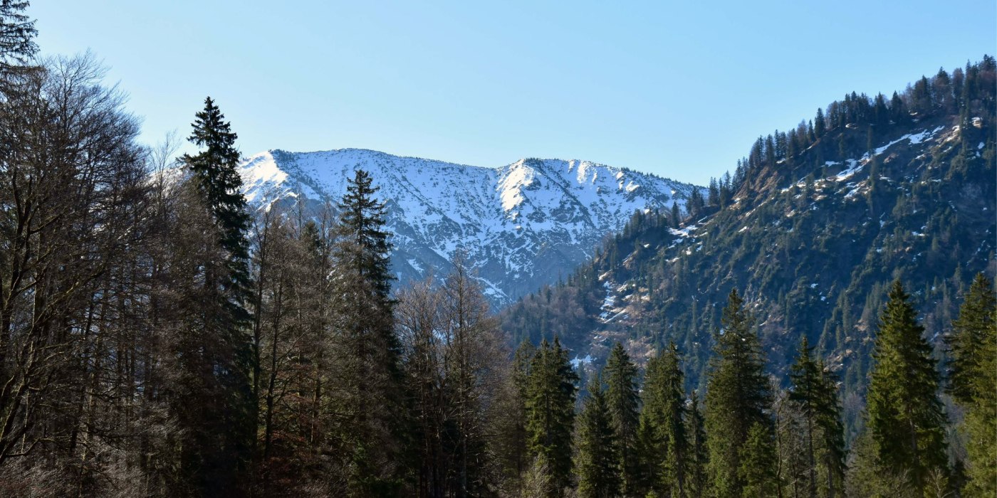 aussenmood_20232, &copy; Bachmair Weissach (Louisa Kirsch)