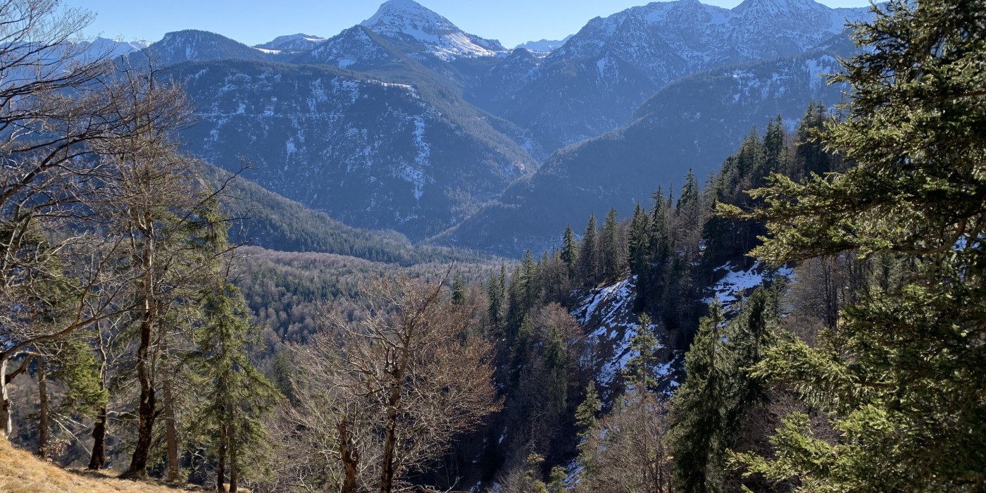 Naturkundliche F&uuml;hrung zur Hochalm, &copy; Florian Bossert