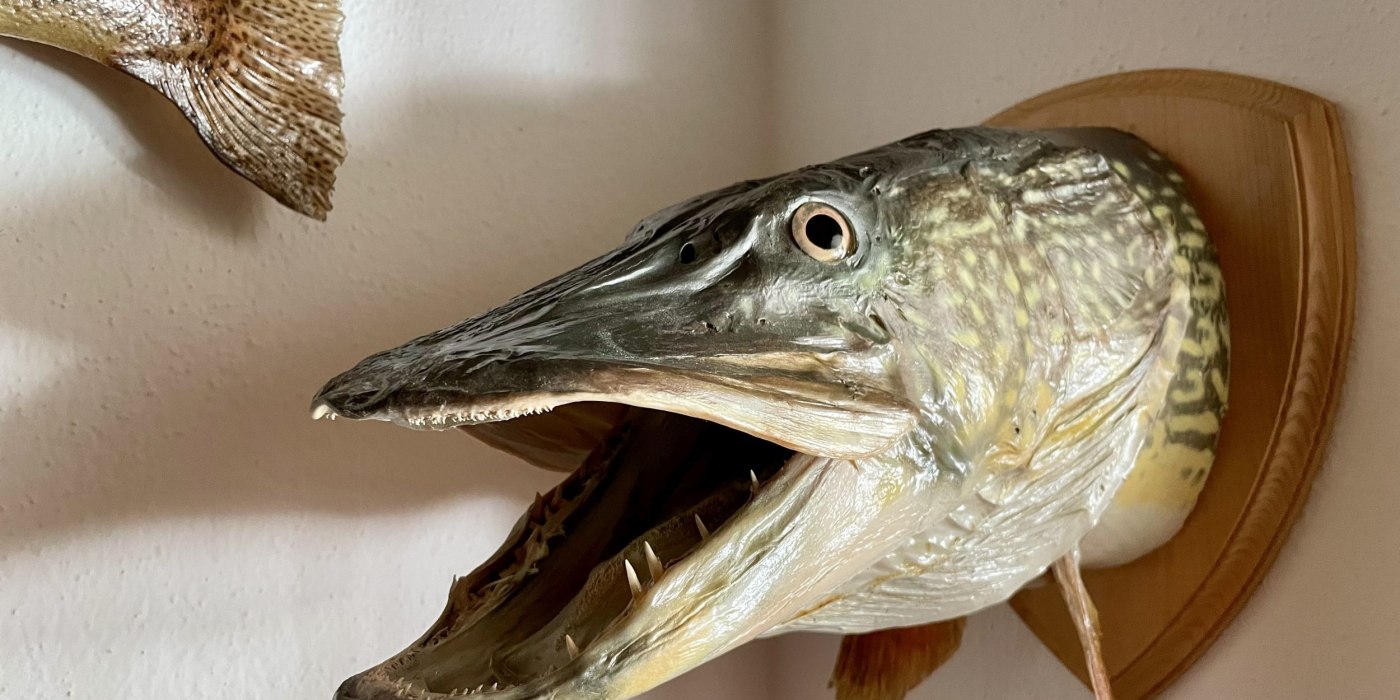 Fische_Jagerhaus 2024 &copy; Ines Wagner