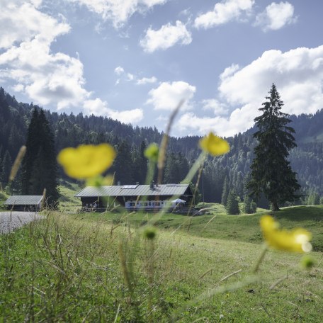 Die Schwarzentenn-Alm, &copy; Der Tegernsee