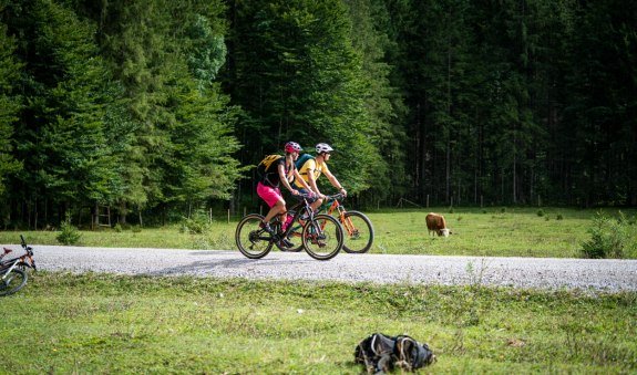 Rund um die Rotwand  (Tour Nr. 12 aus dem "RadlTraum S&uuml;d"), &copy; Alpenregion Tegernsee Schliersee