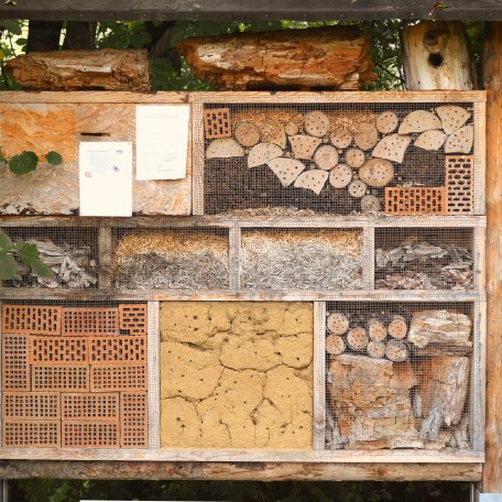 Lehr- und Erlebnisgarten, © pronatur Lehr- und Erlebnisgarten, © pronatur