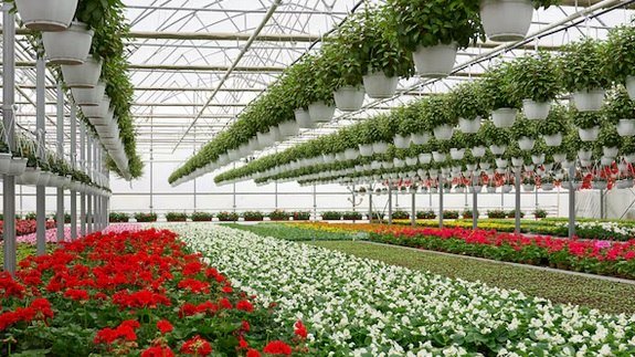 Gärtnerei, © Freepik