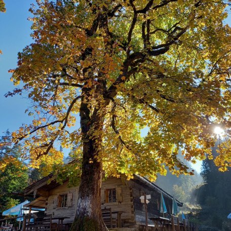 Siebenhütten, © im-web.de/ Regionalentwicklung Oberland Kommunalunternehmen