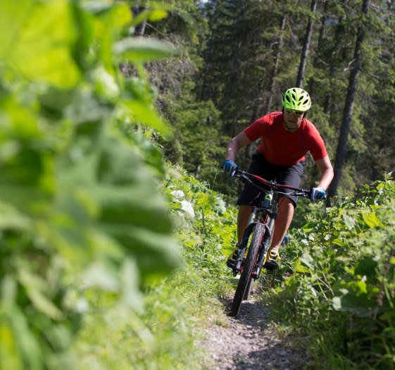 Bike Trail, &copy; Der Tegernsee (Florian Liebenstein)