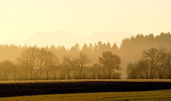 Aussicht auf den Wald in der golden hour, &copy; Alpenregion Tegernsee Schliersee