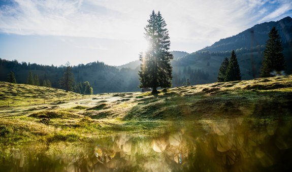 NK_Leben auf der Alm © Creativ Instinkt_0051, © DER TEGERNSEE