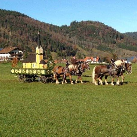 https://d1pgrp37iul3tg.cloudfront.net/objekt_pics/obj_full_58603_006.jpg, &copy; im-web.de/ G&auml;ste-Information Schliersee in der vitalwelt schliersee