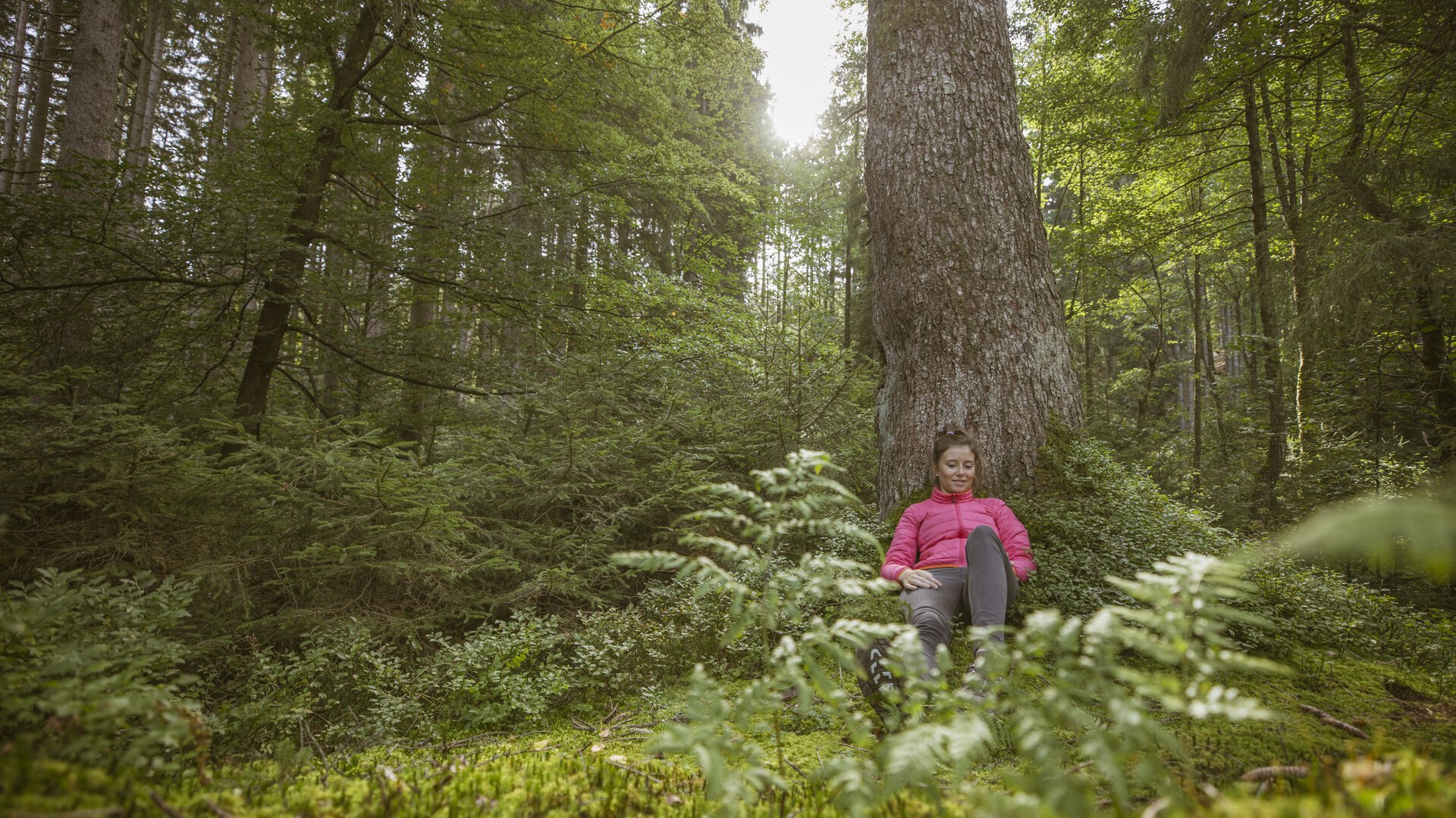 Gesundheit_Waldbaden, © Der Tegernsee (Hansi Heckmair) Gesundheit_Waldbaden, © Der Tegernsee (Hansi Heckmair)