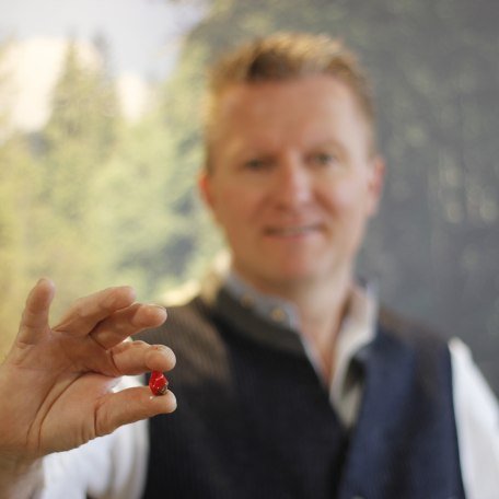 mg_0615, &copy; Seegers H&ouml;rerlebnis