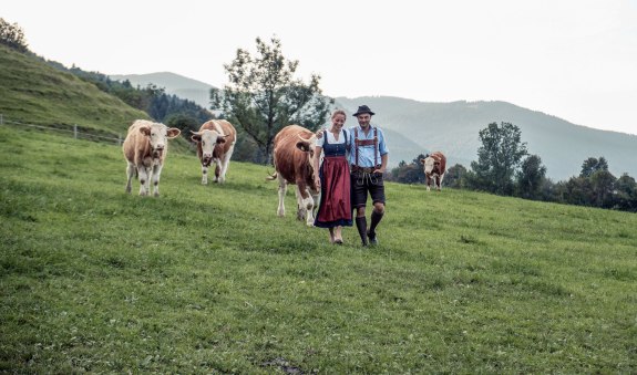 Gschwandlerhof 001, &copy; (c) Gschwandlerhof
