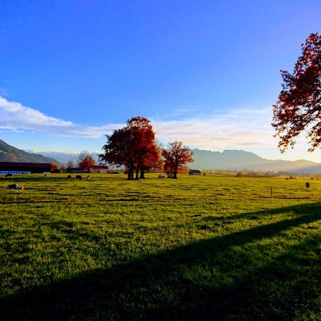 dsc_0004-effects dsc_0004-effects