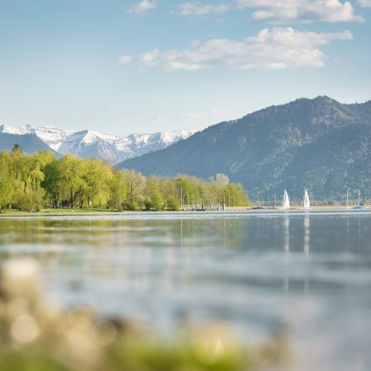 Fr&uuml;hling am Tegernsee, &copy; Der Tegernsee, Dietmar Denger