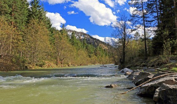20170502-088-weissachmit-blauberg, &copy; H&ouml;rth_Ludwig