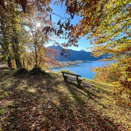 ttt_1123_mn_waldlehrpfad-laerchenwald_tegernsee_0005, &copy; Der Tegernsee (Maria Nopper)