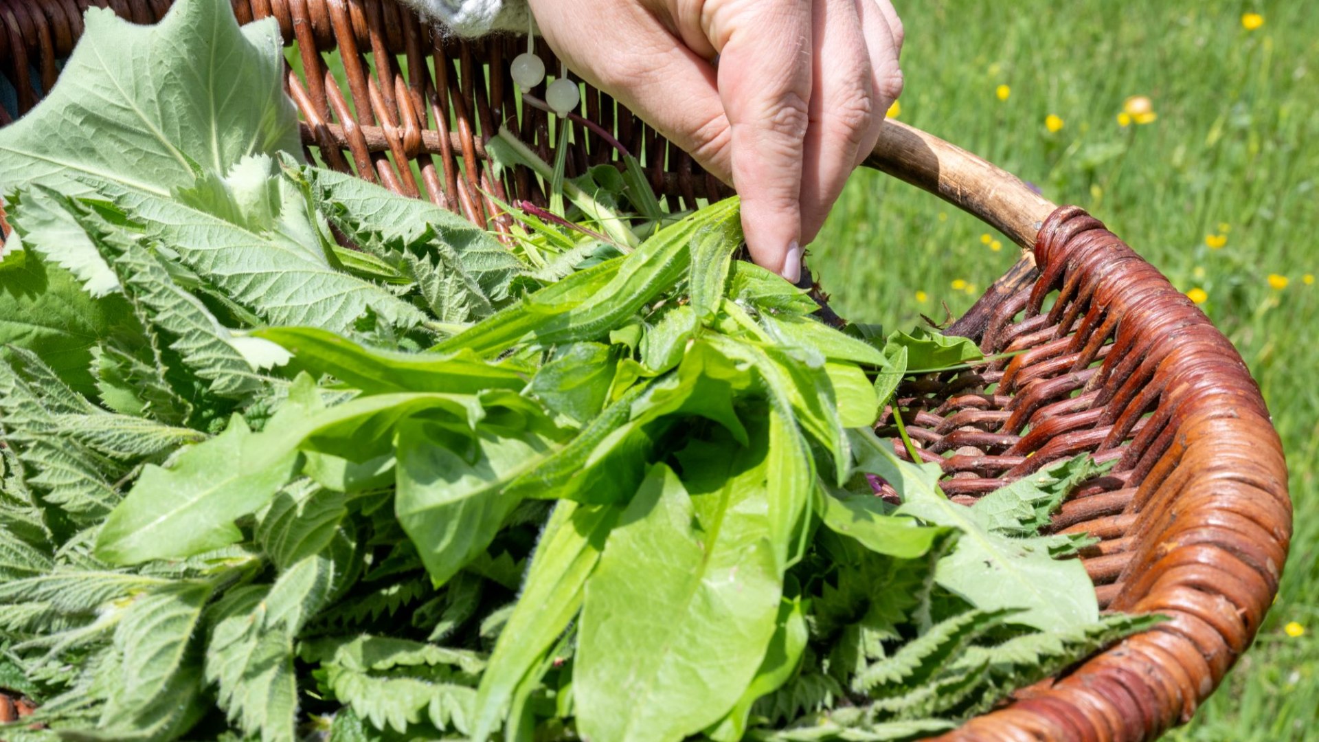 Superfood 03, © Der Tegernsee (Thomas Plettenberg) Superfood 03, © Der Tegernsee (Thomas Plettenberg)