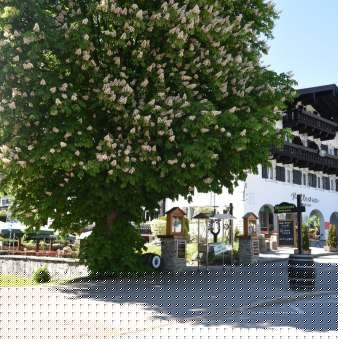 weinbauer_01, © Der Tegernsee weinbauer_01, © Der Tegernsee