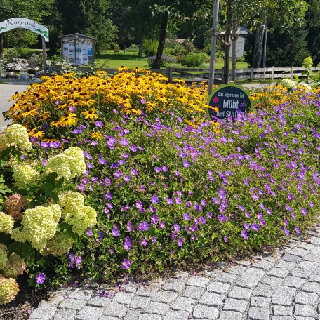 Bl&uuml;hwiese am Trinkbrunnen in Kreuth, &copy; kimpfbeck