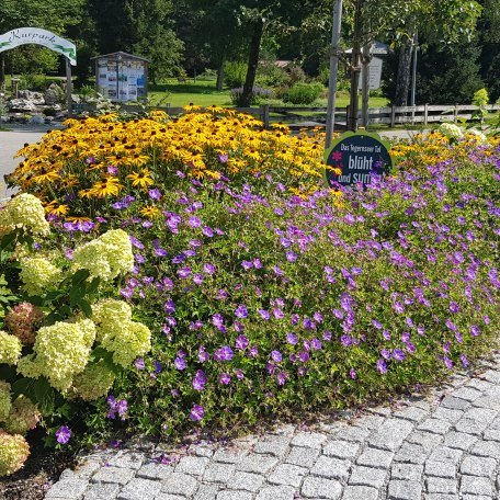 Bl&uuml;hwiese am Trinkbrunnen in Kreuth, &copy; kimpfbeck