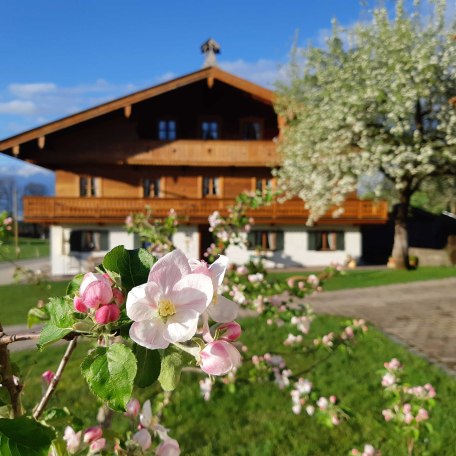 https://images.bs.ds-srv.net/objekt_pics/obj_full_31773_004.jpg, &copy; im-web.de/ Tourist-Information Gmund am Tegernsee