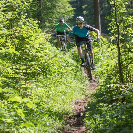 Mountainbiker auf dem Biketrail Langenau am Tegernsee, © Christoph Schempershofe