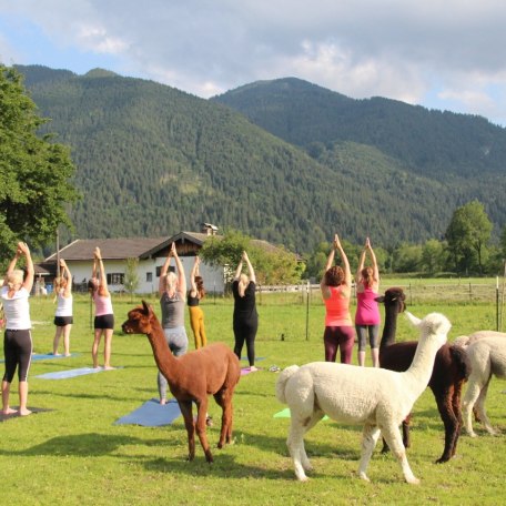 pilates01, © CROSSPilates Tegernsee pilates01, © CROSSPilates Tegernsee