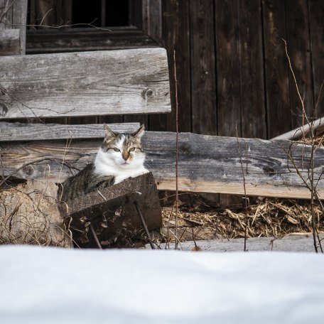 Winter in Bad Wiessee, © Dietmar Denger 