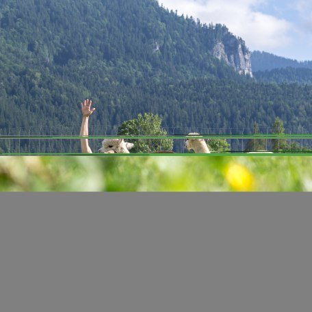 NK_KeyVisual_Alpaka Yoga © Stefanie Pfeiler_036, © DER TEGERNSEE