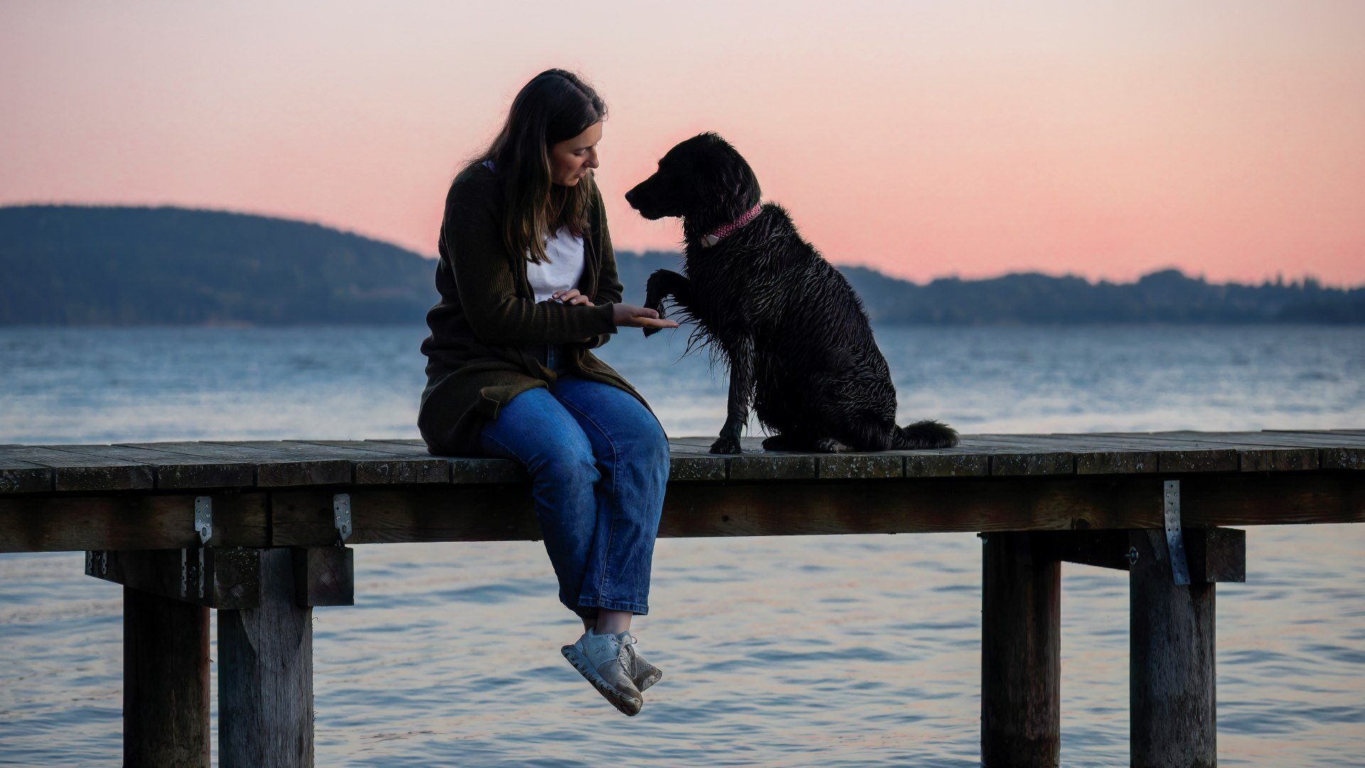 Hund, © Schnitzer´s Dahoam Hund, © Schnitzer´s Dahoam