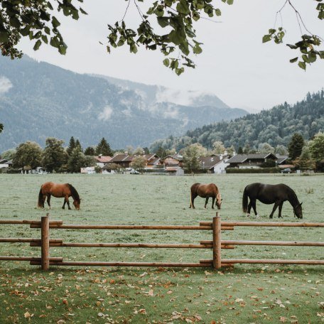 © Parkhotel Egerner Höfe © Parkhotel Egerner Höfe